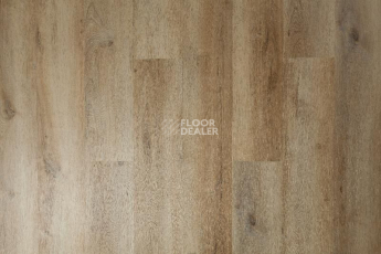 Tarkett Funky House BOB фото 1 | FLOORDEALER